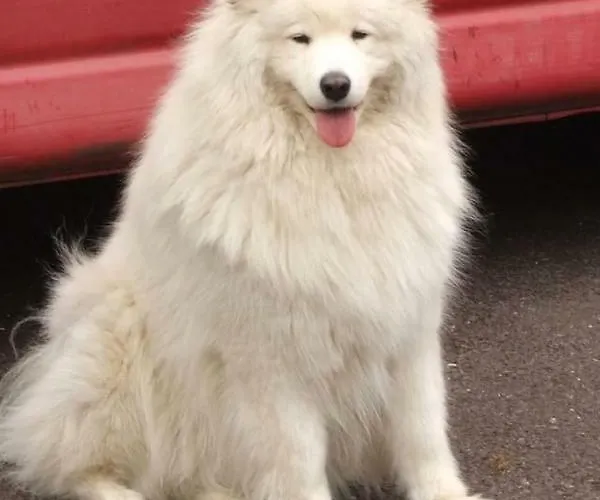 Kerry Air קיל איירן